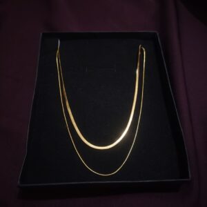Double Layered Golden Necklace