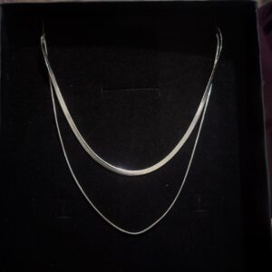 Double Layered Silver Necklace